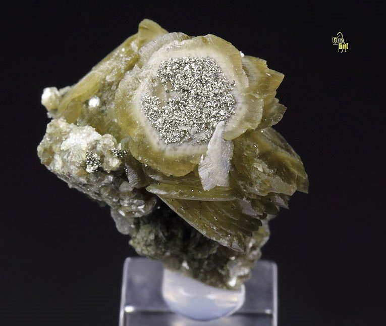 SIDERITE, ARSENOPYRITE, MUSCOVITE