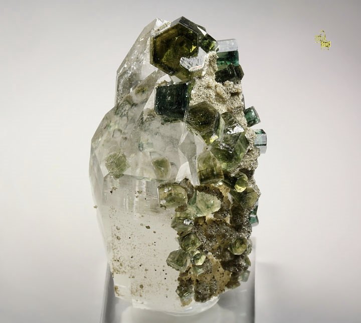 gem FLUORAPATITE, QUARTZ, MUSCOVITE, ARSENOPYRITE