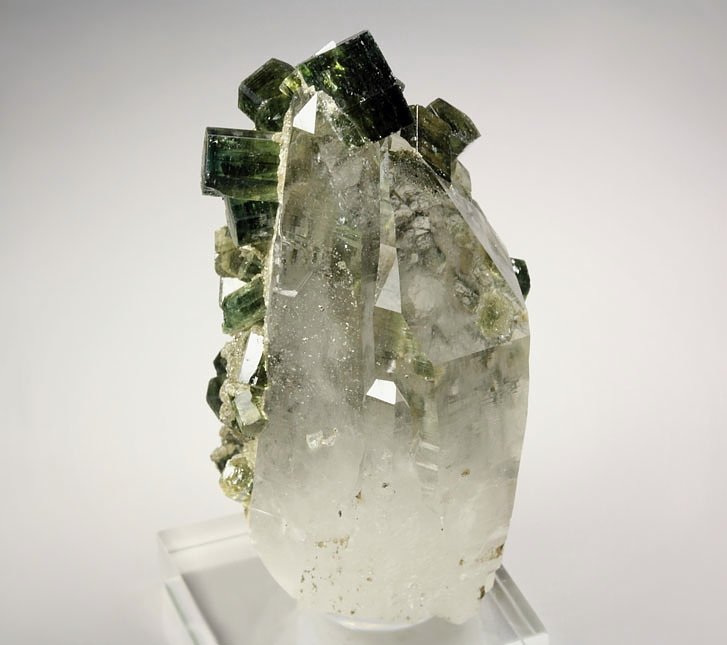 gem FLUORAPATITE, QUARTZ, MUSCOVITE, ARSENOPYRITE