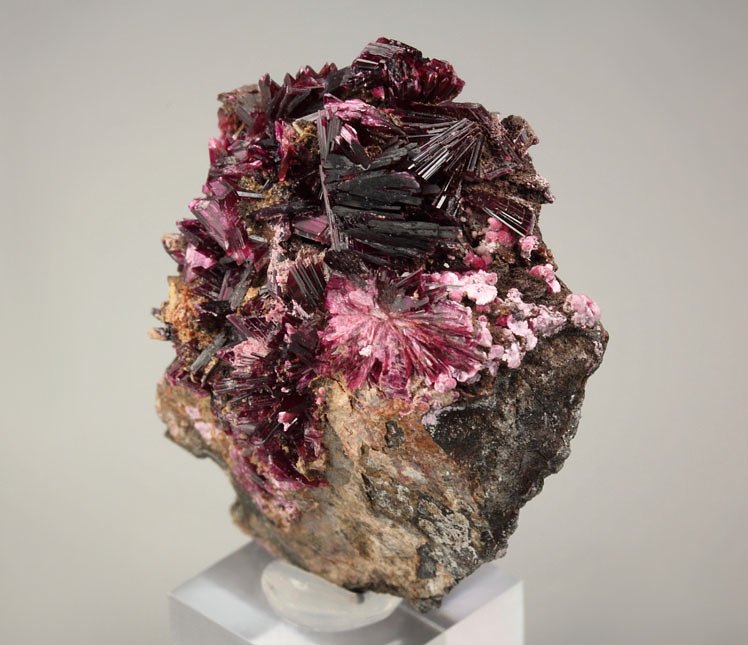 new find - ERYTHRITE two habits