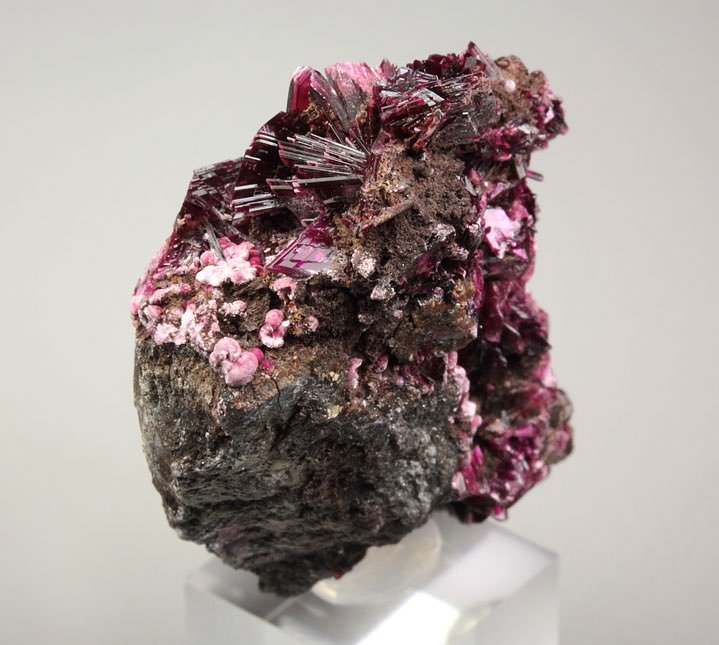 new find - ERYTHRITE two habits