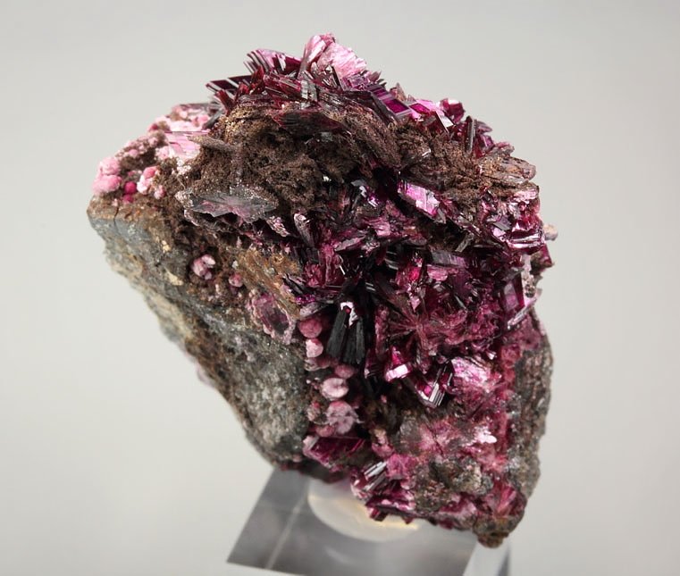 new find - ERYTHRITE two habits