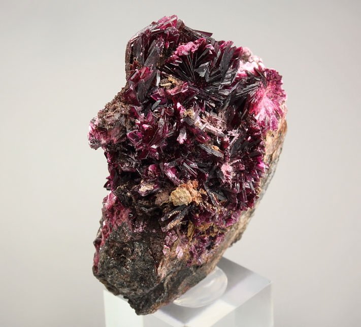 new find - ERYTHRITE two habits