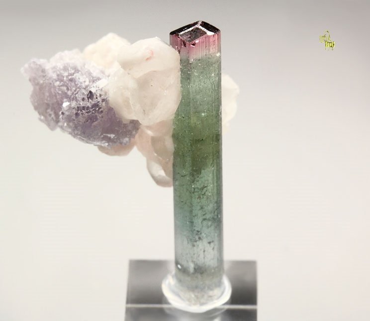 gem TOURMALINE var. ELBAITE bi-color, LEPIDOLITE, QUARTZ