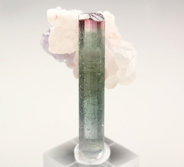 gem TOURMALINE var. ELBAITE bi-color, LEPIDOLITE, QUARTZ