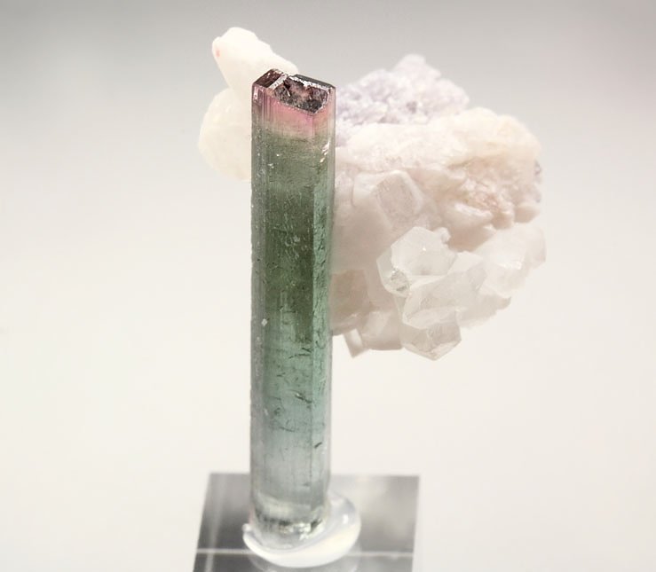 gem TOURMALINE var. ELBAITE bi-color, LEPIDOLITE, QUARTZ