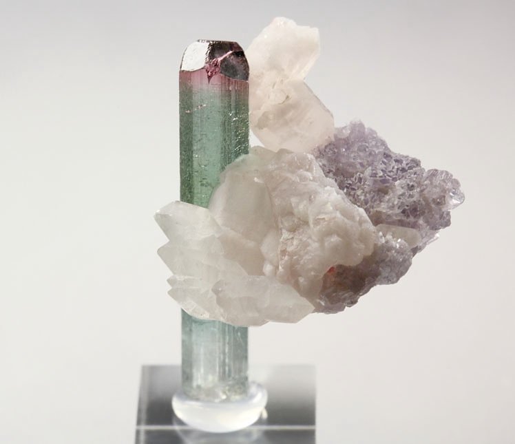 gem TOURMALINE var. ELBAITE bi-color, LEPIDOLITE, QUARTZ