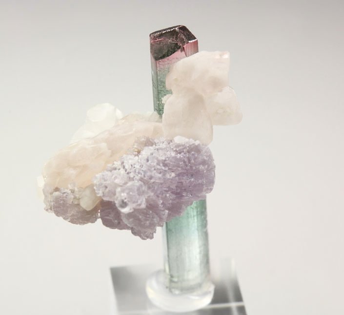 gem TOURMALINE var. ELBAITE bi-color, LEPIDOLITE, QUARTZ