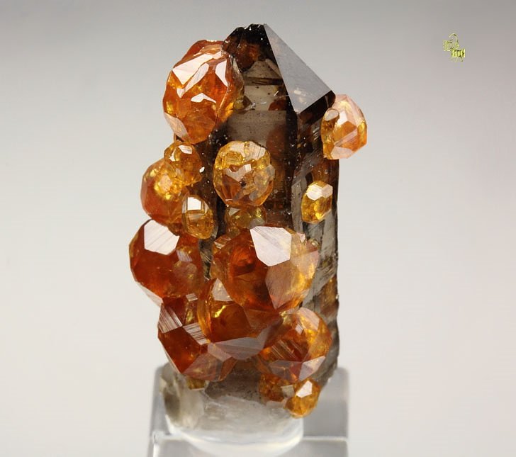 gem GARNET var. SPESSARTINE, QUARTZ var. SMOKY