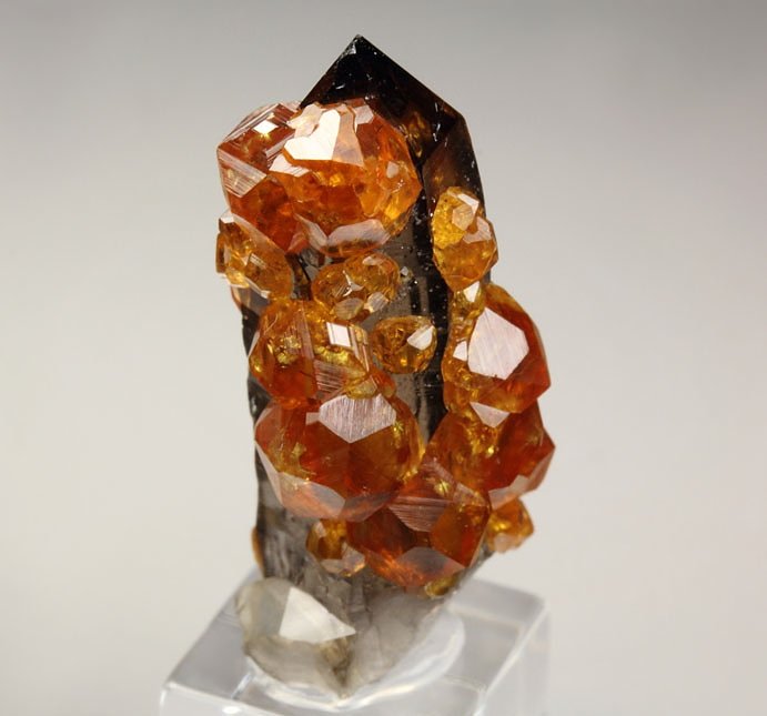 gem GARNET var. SPESSARTINE, QUARTZ var. SMOKY