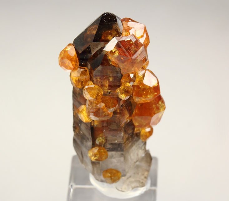 gem GARNET var. SPESSARTINE, QUARTZ var. SMOKY