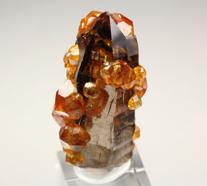 gem GARNET var. SPESSARTINE, QUARTZ var. SMOKY