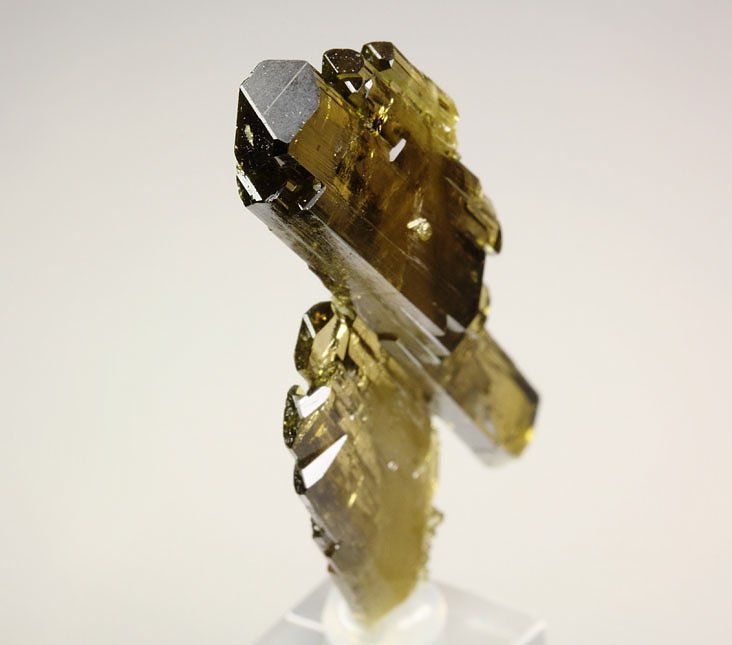 faden EPIDOTE