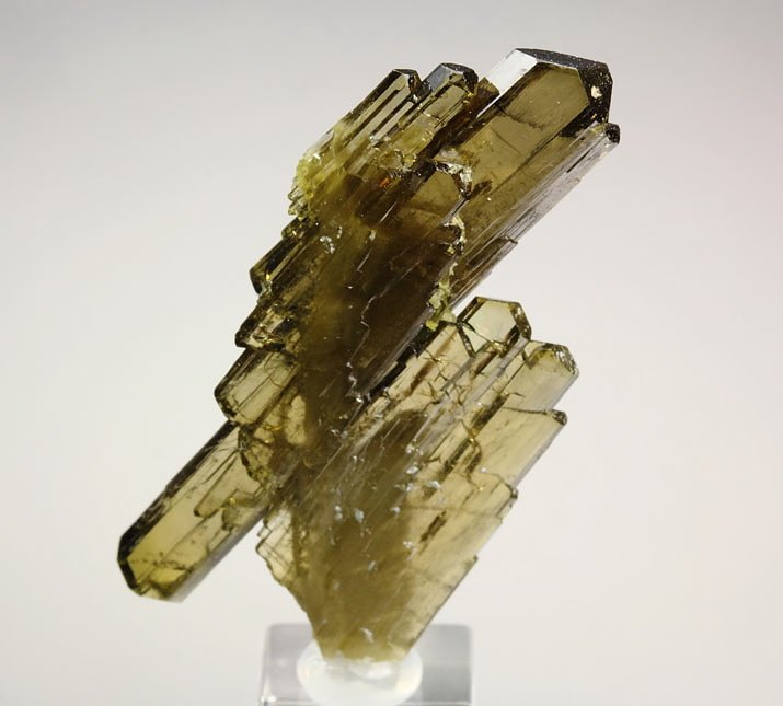 faden EPIDOTE