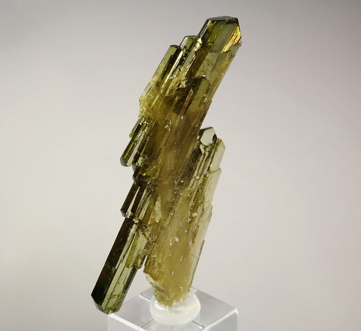 faden EPIDOTE