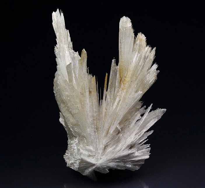 PECTOLITE 