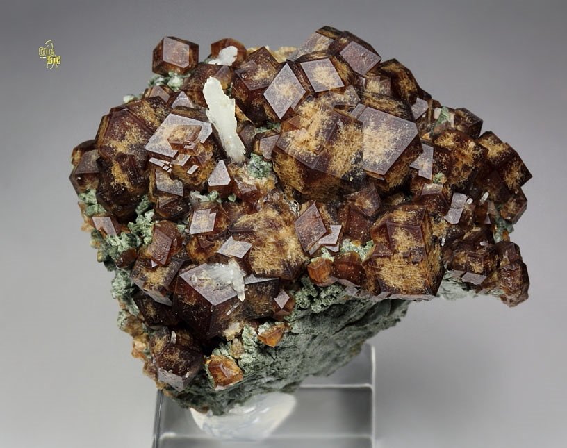 GARNET var. ANDRADITE, HEDENBERGITE, QUARTZ