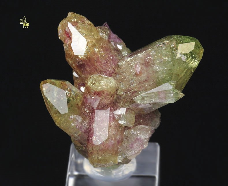 gem VESUVIANITE bi-color