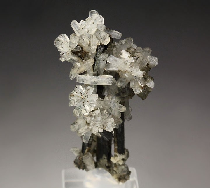 NATROLITE, AEGIRINE