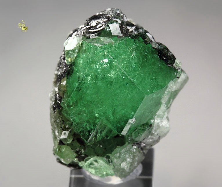 gem GARNET var. GROSSULAR var. TSAVORITE