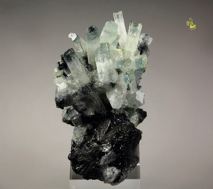 bi-color BERYL var. AQUAMARINE, TOURMALINE var. SCHORL