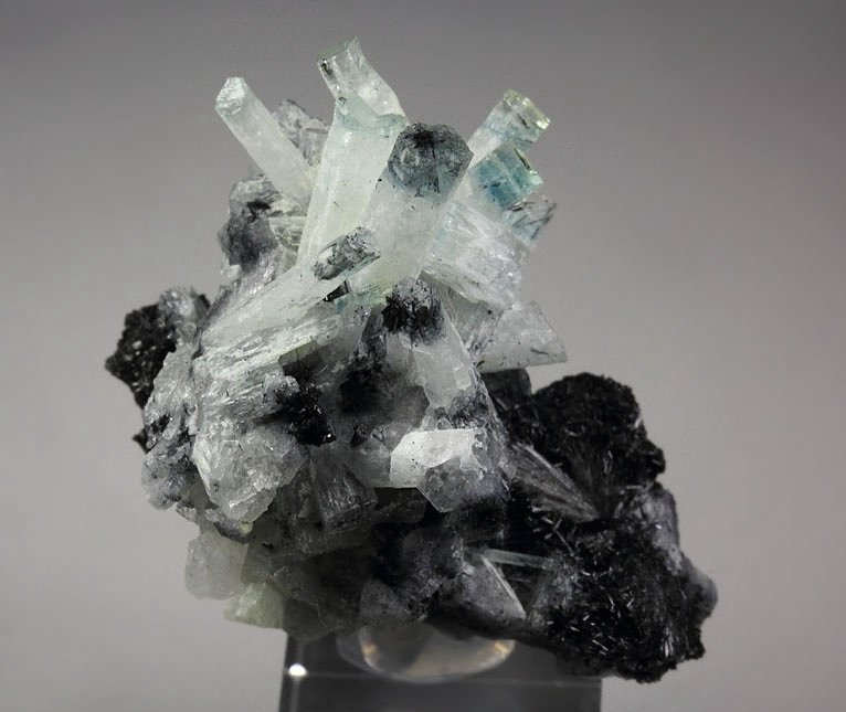 bi-color BERYL var. AQUAMARINE, TOURMALINE var. SCHORL