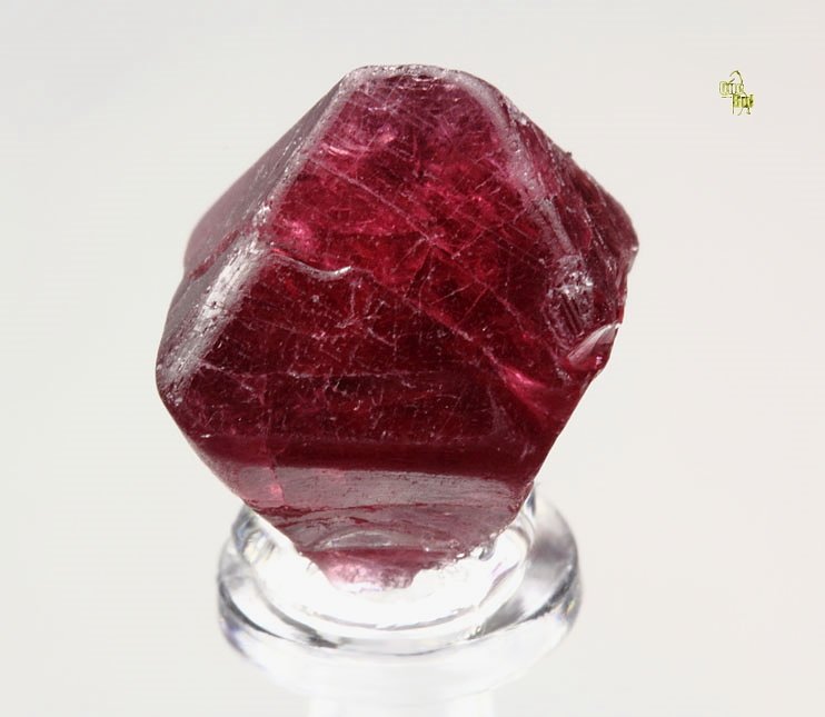 SPINEL