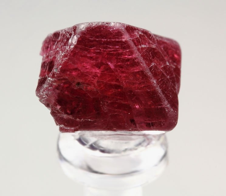 SPINEL