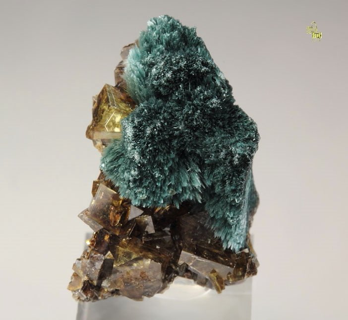 GORMANITE, SIDERITE