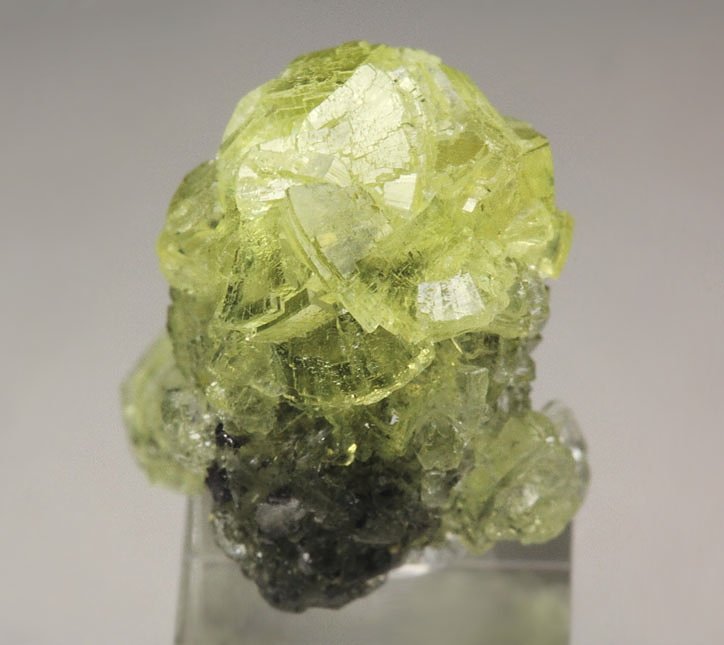 gemmy PREHNITE