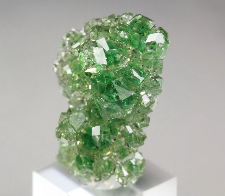 gem GARNET var. GROSSULAR with GREEN CHROMIAN PHANTOMS