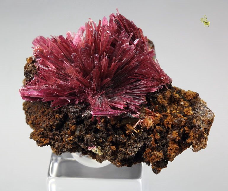 ERYTHRITE, PHLOGOPITE, QUARTZ