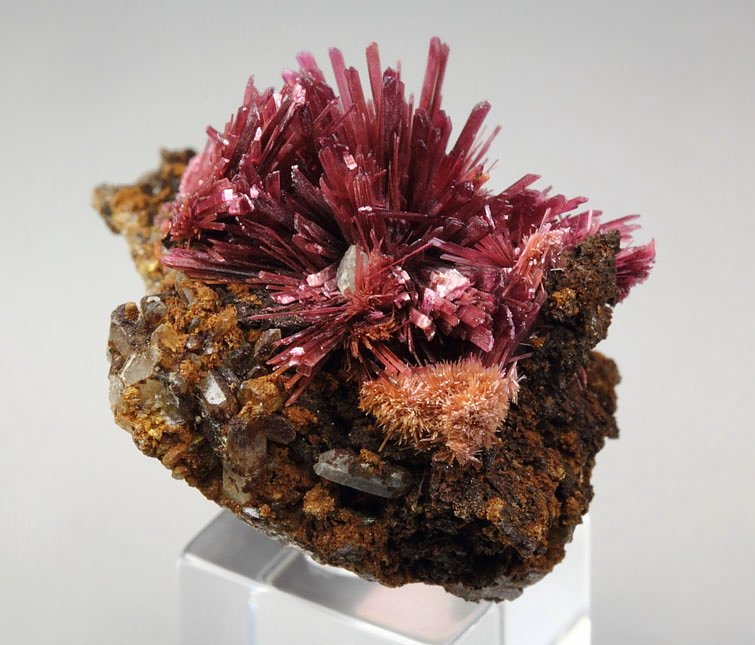 ERYTHRITE, PHLOGOPITE, QUARTZ