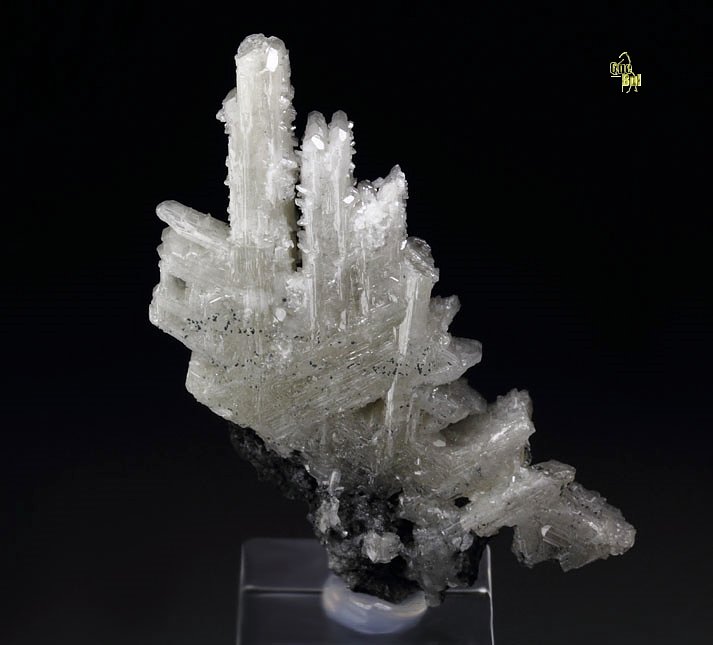 reticulated CERUSSITE