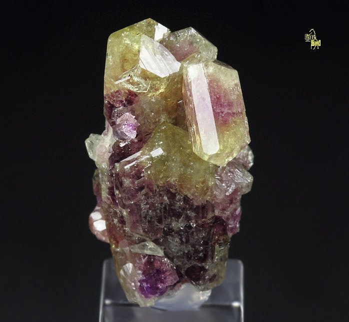 bi-terminated VESUVIANITE bi-color