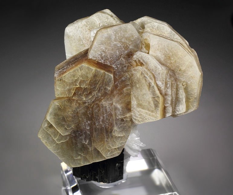 TOURMALINE, MUSCOVITE, ALBITE var. CLEAVELANDITE