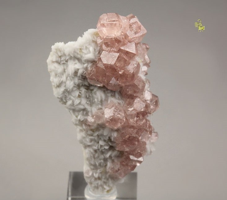 gem PINK GARNET var. GROSSULAR, DIOPSIDE, ALBITE