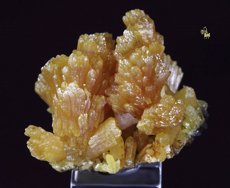 MIMETITE