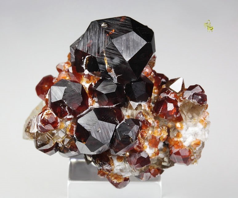 gemmy GARNET var. SPESSARTINE, QUARTZ var. SMOKY