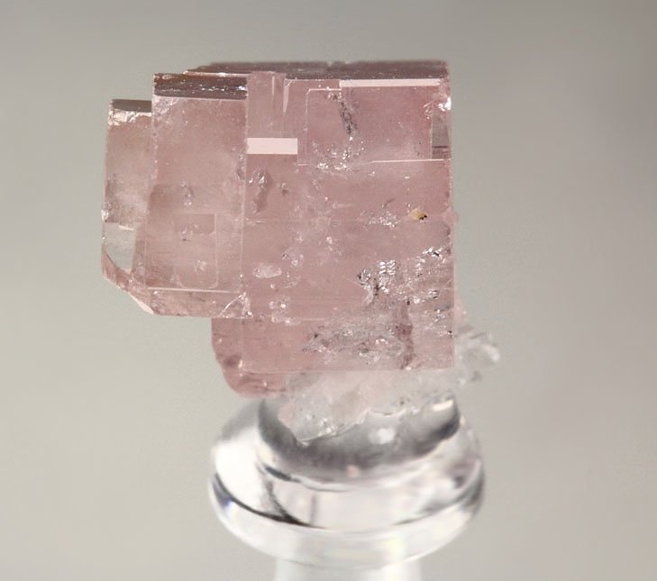 pink gem FLUORAPATITE