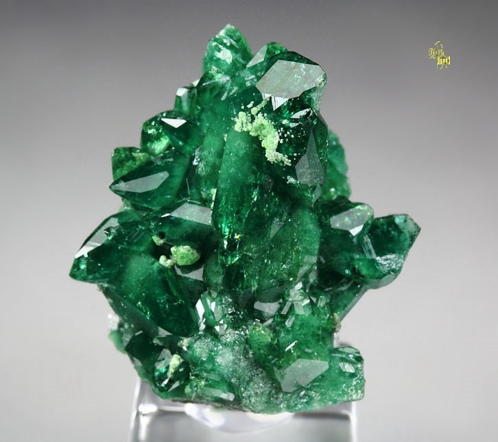 gem VESUVIANITE var. CHROMIAN, DIOPSIDE