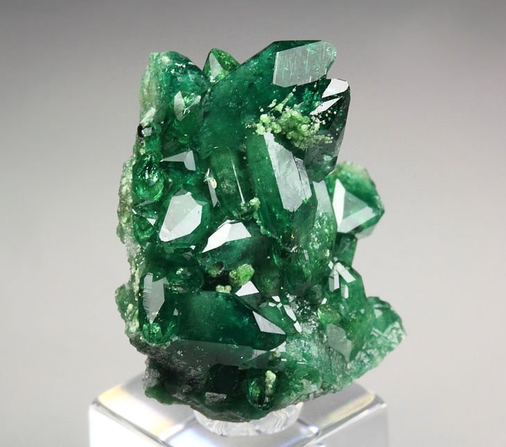 gem VESUVIANITE var. CHROMIAN, DIOPSIDE