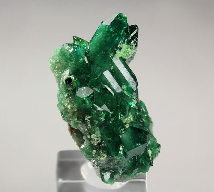 gem VESUVIANITE var. CHROMIAN, DIOPSIDE