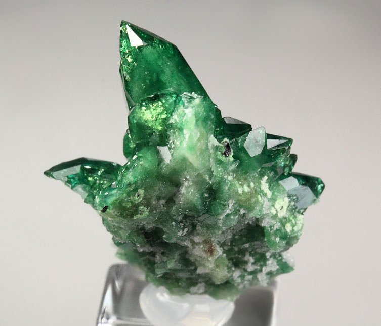 gem VESUVIANITE var. CHROMIAN, DIOPSIDE