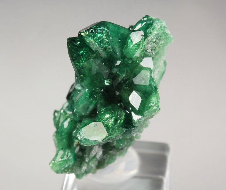 gem VESUVIANITE var. CHROMIAN, DIOPSIDE