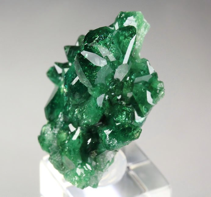 gem VESUVIANITE var. CHROMIAN, DIOPSIDE