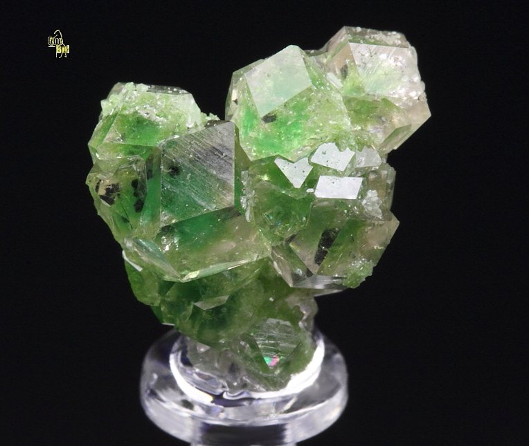 gem GARNET var. GROSSULAR with GREEN CHROMIAN PHANTOMS