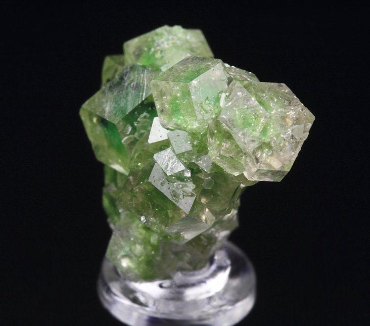 gem GARNET var. GROSSULAR with GREEN CHROMIAN PHANTOMS
