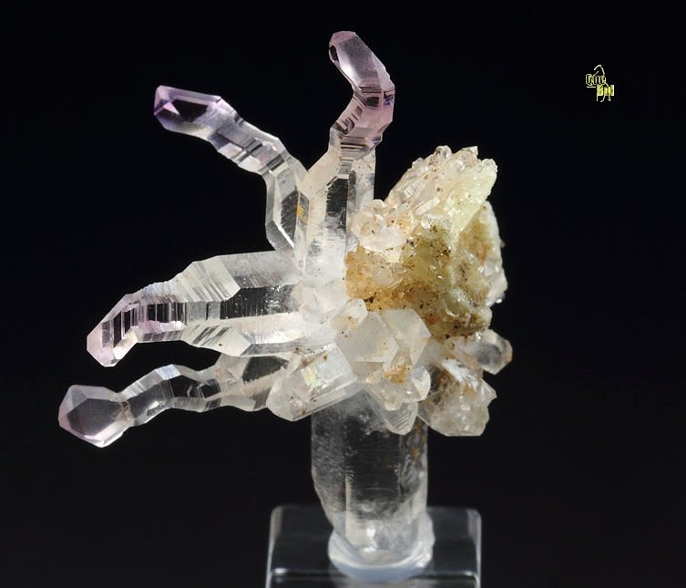 reverse scepter QUARTZ