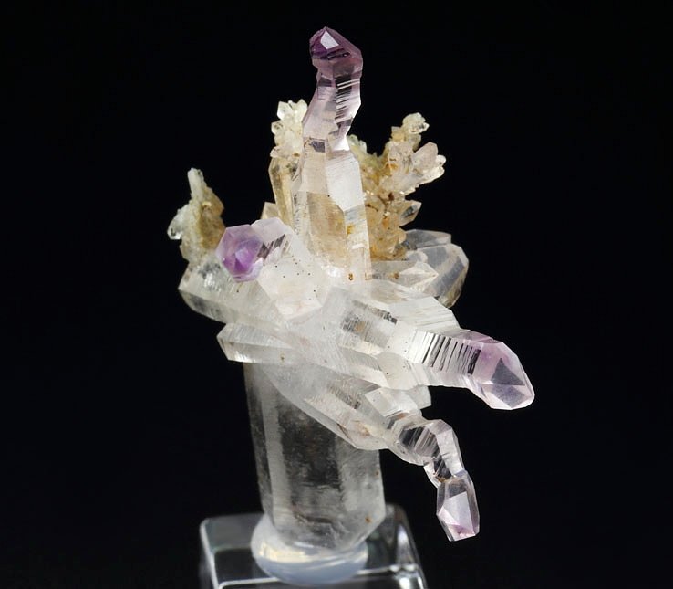 reverse scepter QUARTZ